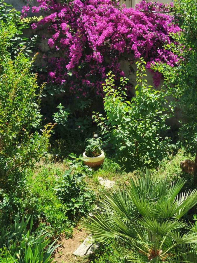 Villa Luka دوبروفينك المظهر الخارجي الصورة